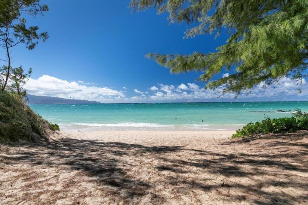 Unit 7 Maui Ohana Modern Studio ワイルク エクステリア 写真